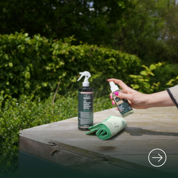 Pulizia e manutenzione